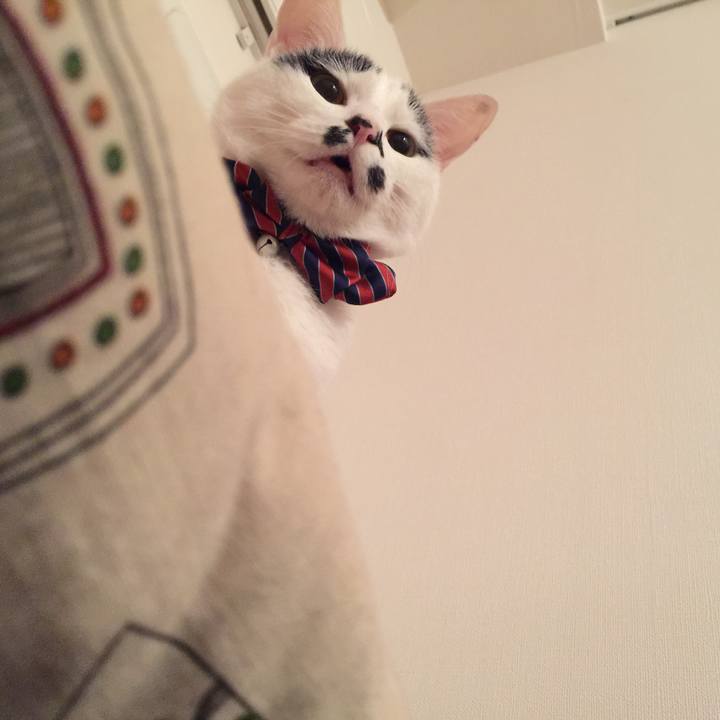 032f0d3e b4e3 4e32 a7a0 bfc0daadb0f0