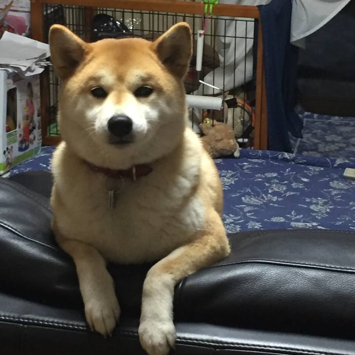 032f4f4e af8d 4698 94dd 93482c27d232