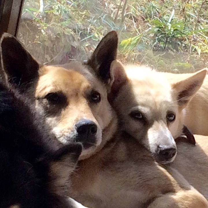 032f7dbd a129 4549 8461 881ae63d6396