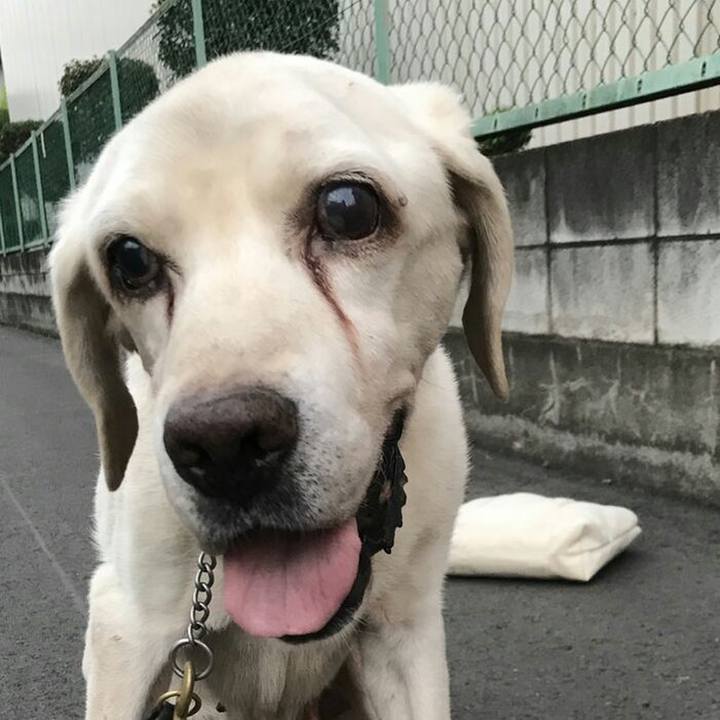 032ffab5 8ec5 4a5c 8b2c c78339fff878