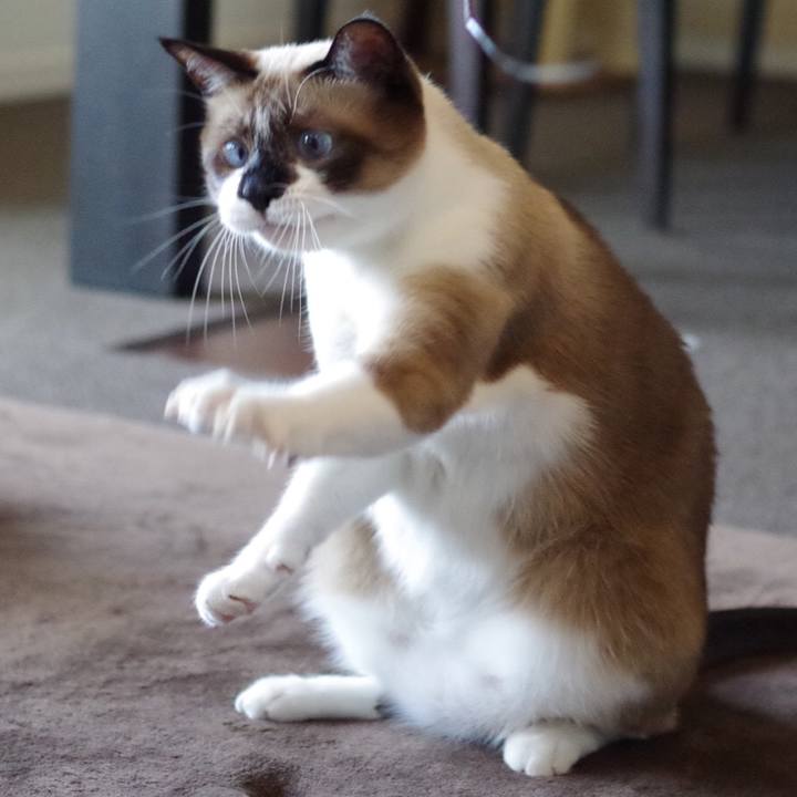 032ffb12 a7da 485c 888c 12d704044063