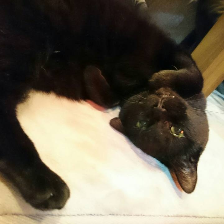 032ffdcc 17dd 4193 b595 a49de6fe8d9a