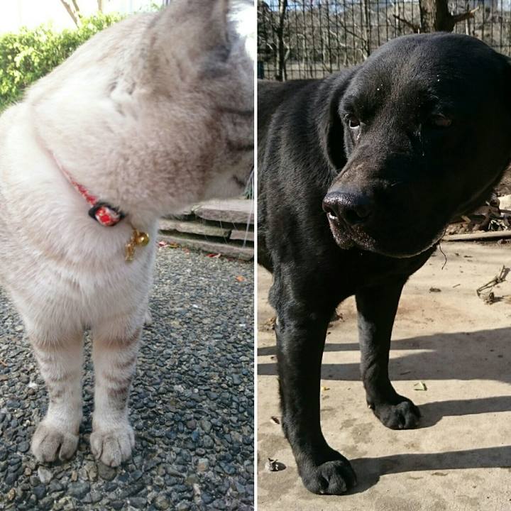 033090e8 2276 4a67 82c9 ef30798d7b3e