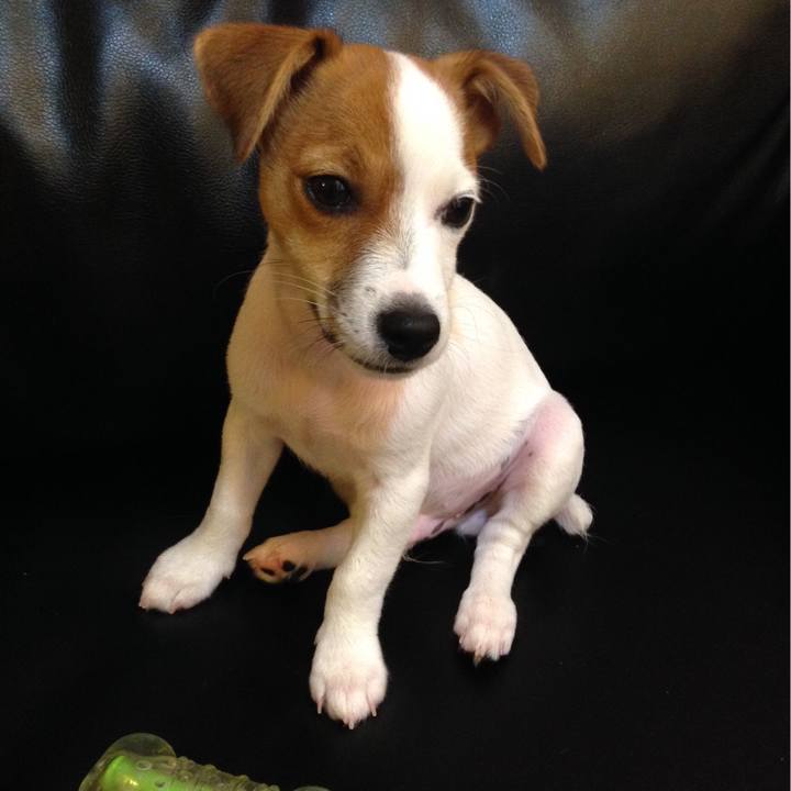 03311644 3b98 4889 938b 37fc000d0cc7