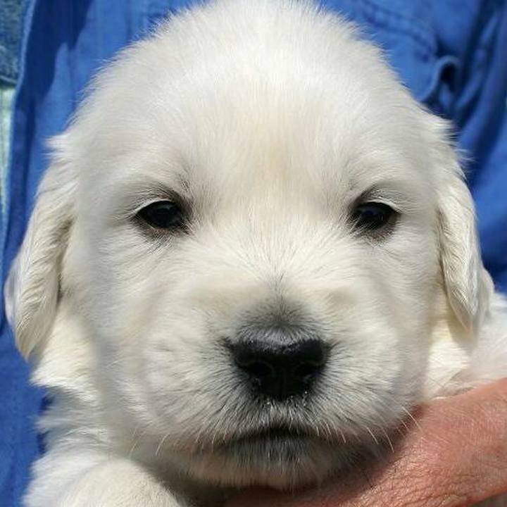 0331a099 cb45 4d15 9981 dc651ab1611b