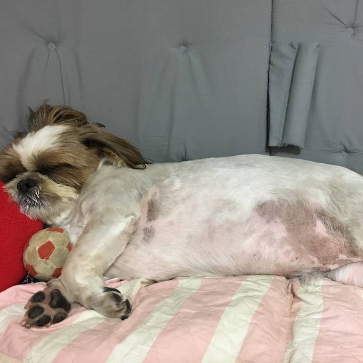 03321cc9 3a71 48e5 ba2f a9e552942f8d