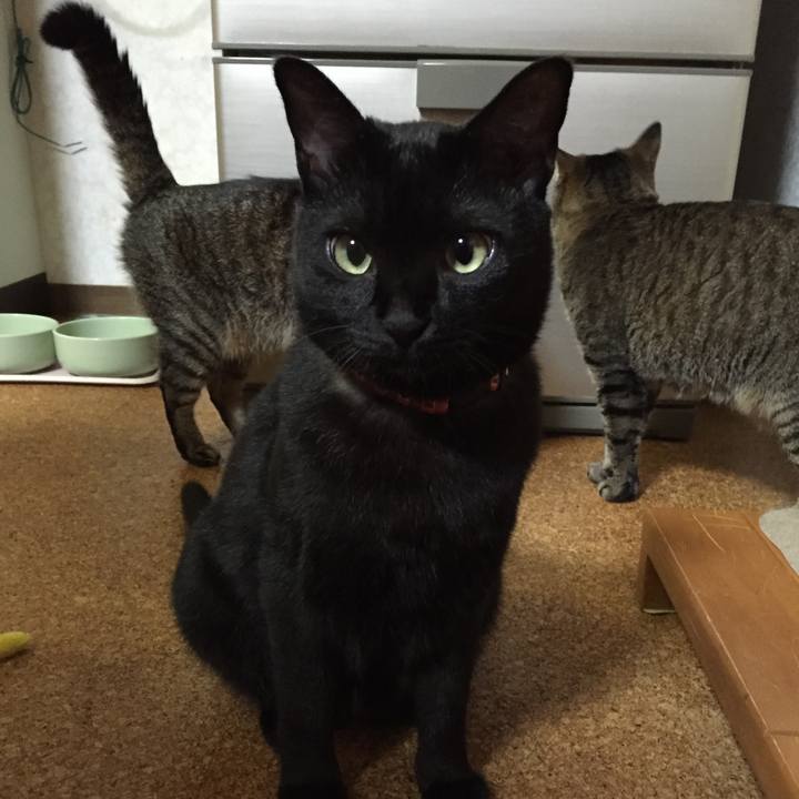 0332d1b6 b7bb 449d bf29 b7e822c8c4aa