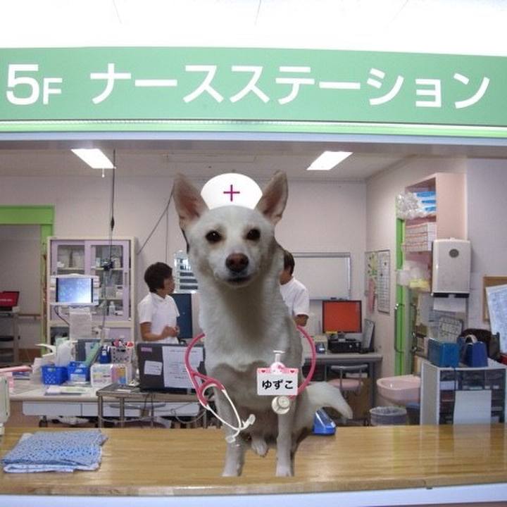 0332e38f ff75 4b01 87ed 3854d2e8c44e