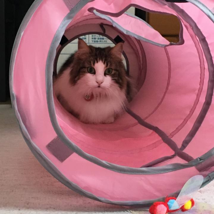 03330170 d8d4 42e5 97a4 6b591ab087be