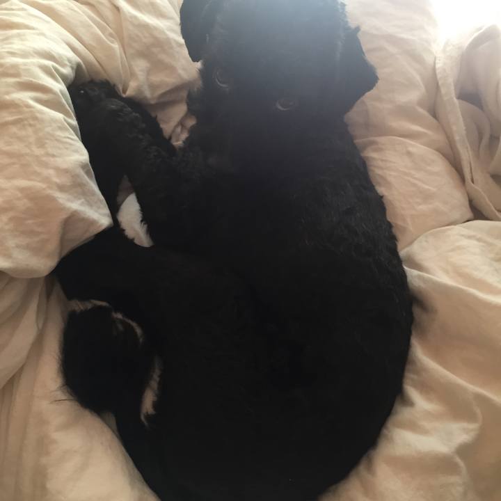 0333e8db d4a9 4278 8a8d 3d6d2dc15a7a