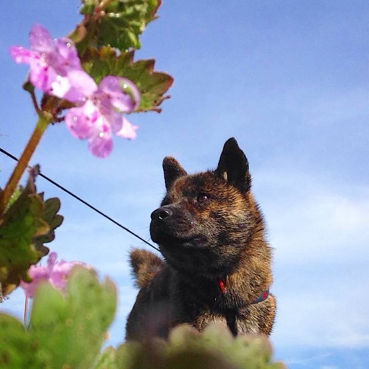 0334c6b0 3130 4320 a024 c435ebe39c35