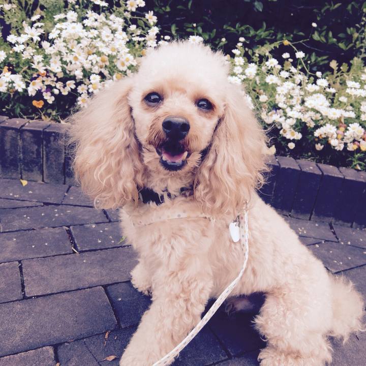 0334ccfd 3c36 40ca ab2c 60a1d147a87b