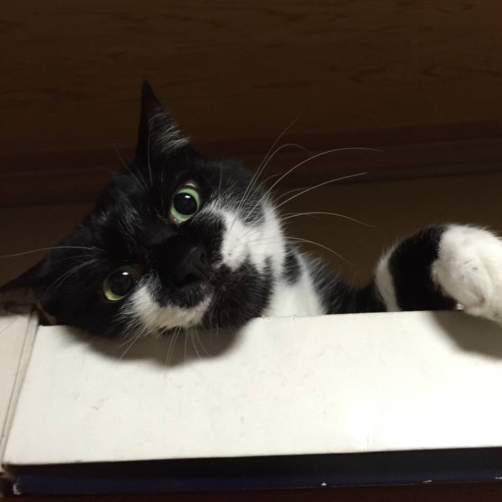 03350a36 73a5 4569 985c 5b58f3c520e6