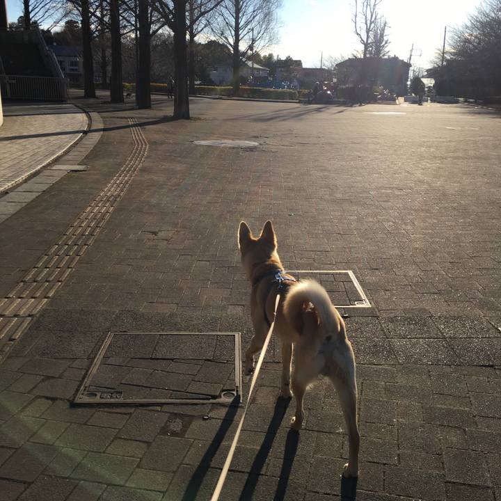 033577f6 36ce 47b7 b03f af4b52107d3f