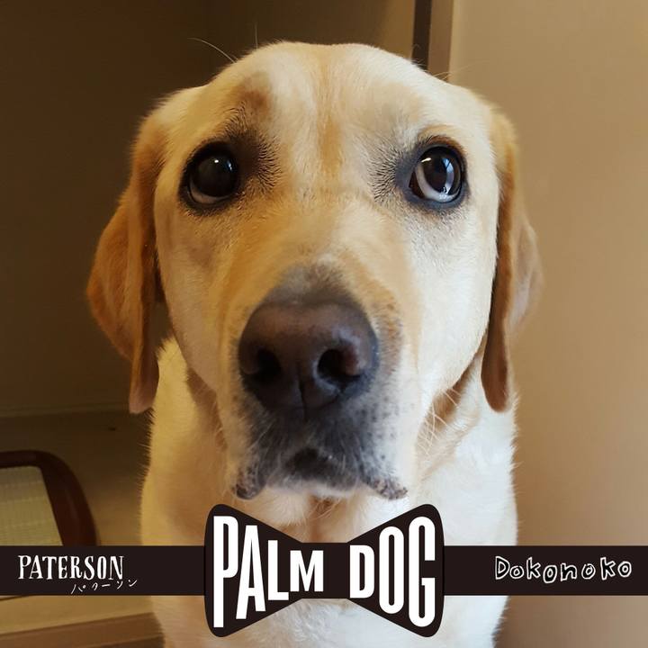 0335fffa b845 4039 b8af 02834ab0704c