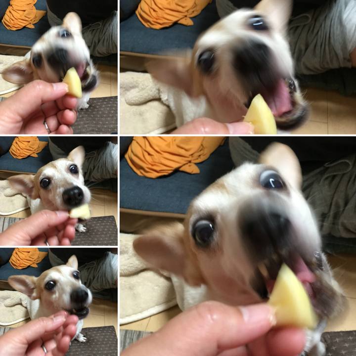 03364d57 f2d5 4179 b374 a18820efc863