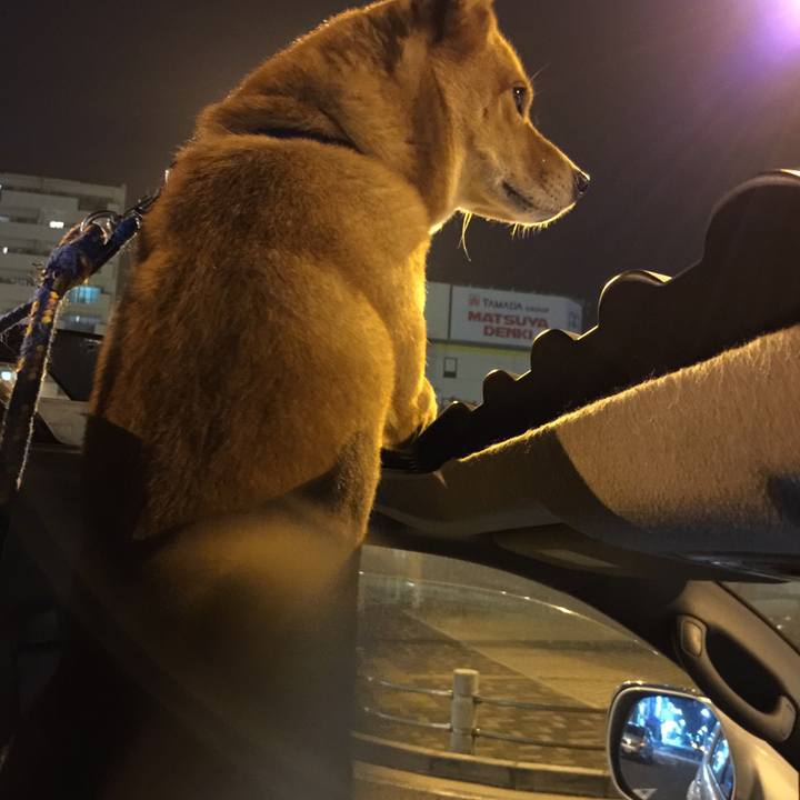 03368b00 0e97 4c7c 947c 4cfc8577dd73