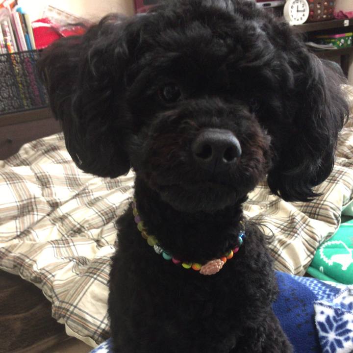 03373e83 50d0 45b9 8296 cb74c9225f37