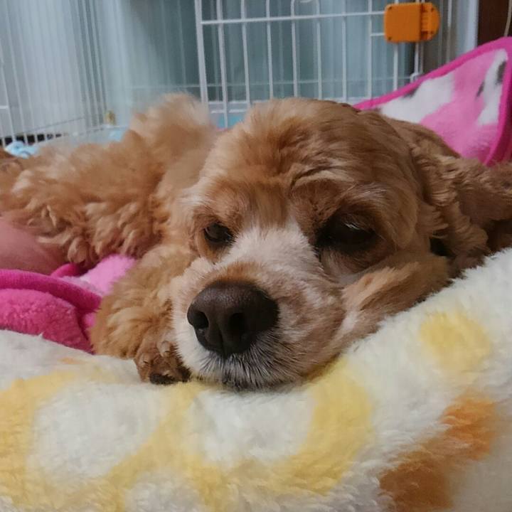 0337cc90 64ee 4796 a39b f268454390fc