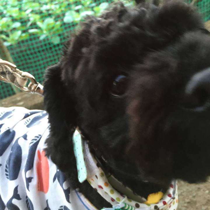 0337e910 a231 43ab b677 ebd7a2ea62e4