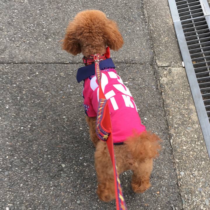 03384903 77e9 488c 8f18 2f2b35804d2b