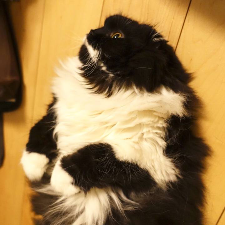 03395206 783d 4809 bf40 2b537314d5ac