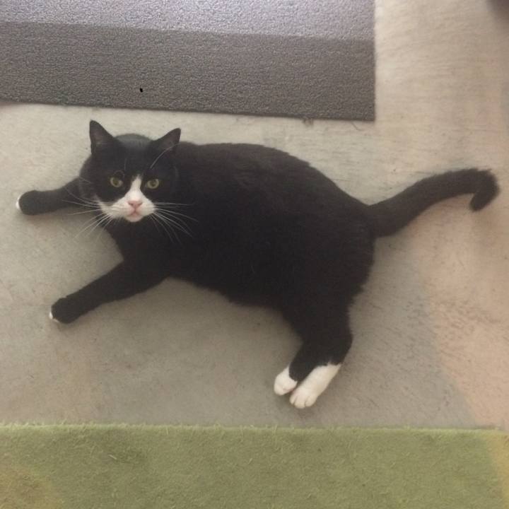 033a3f65 5313 46ca 83bd 057903870453