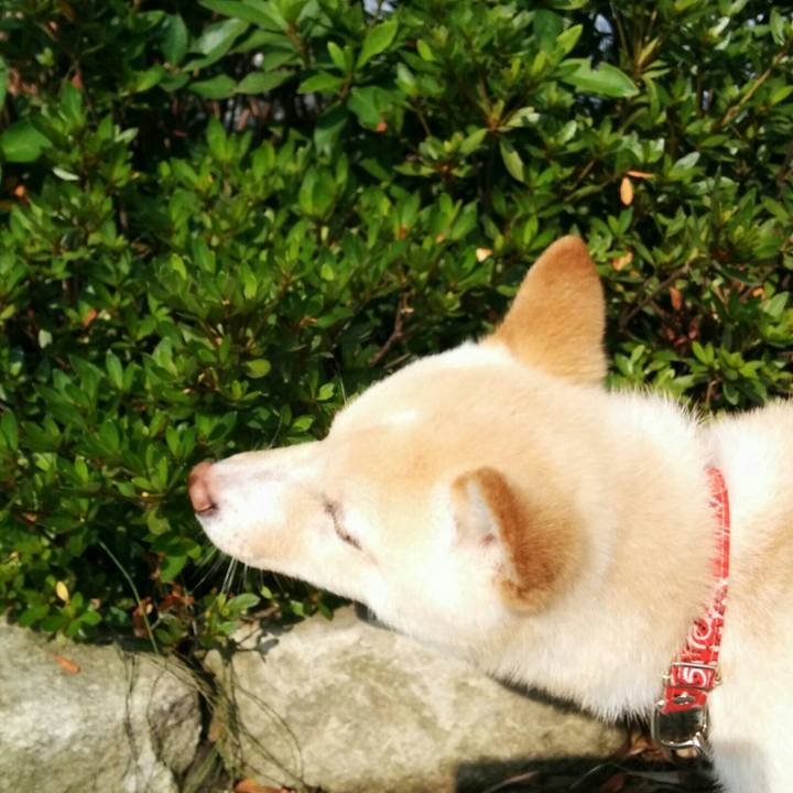 033aab04 37d8 4c09 9952 58232ee13556