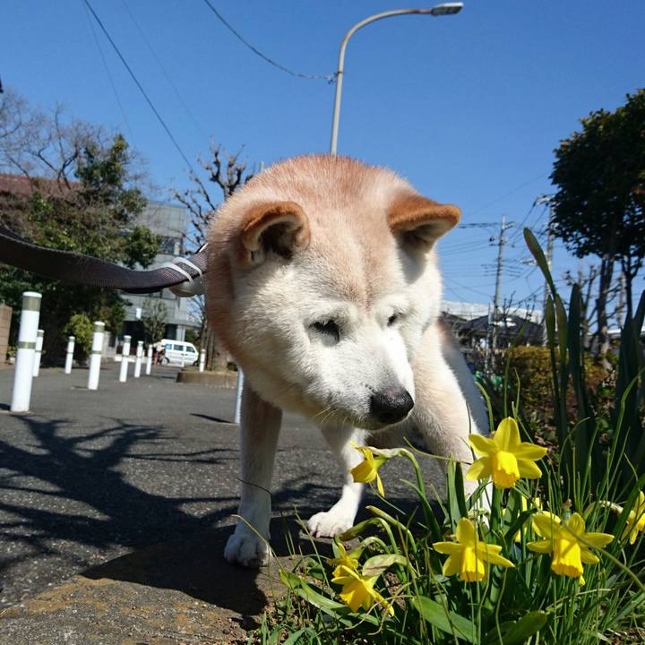 033b496e ffc1 4304 8888 cdb5bb72f863