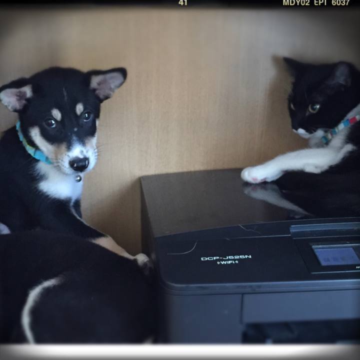 033c5fc3 13eb 4ba4 bf66 90ae031974a3