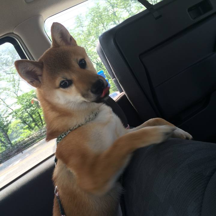 033d2160 587b 478d b535 fd5b46632df8