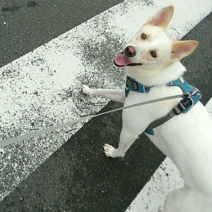 033d6f4f 0df8 4ee7 b56f 4a96e4ef8387