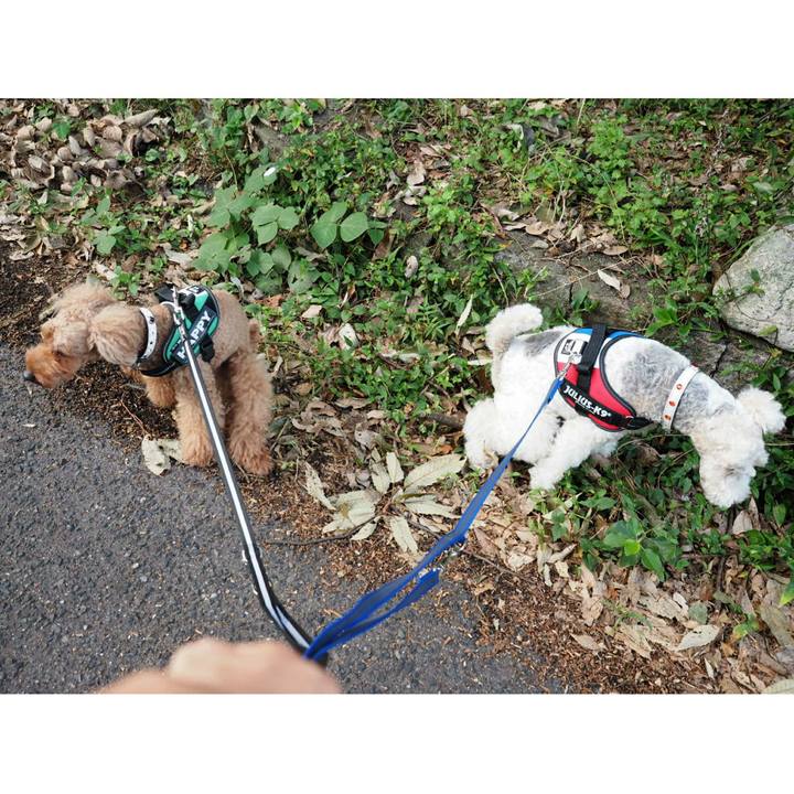 033e92c3 8957 4f2a 9824 8ee610f88701