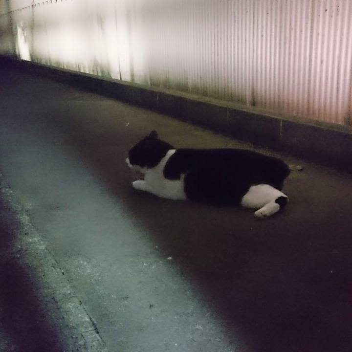 033f4f22 7ec1 48ca abad 454ef67933e0