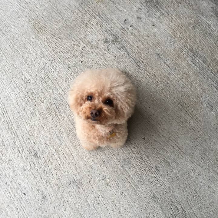 033f85da fcf8 47ea ae15 48e452fcf09a