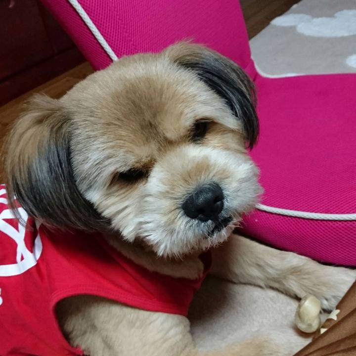 033fc3b1 c979 4620 b5e1 1d6e00721588