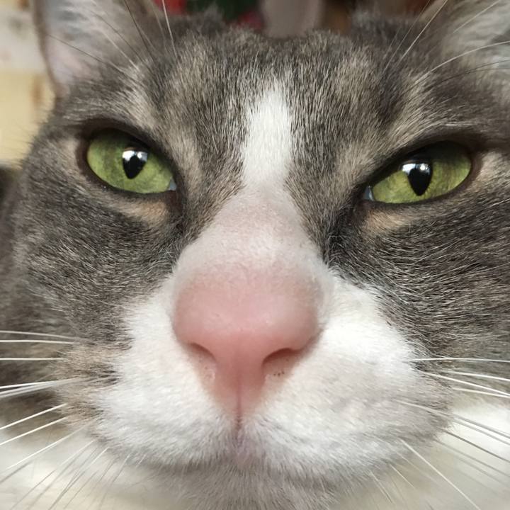 033fd1f0 63cb 4ca5 ae7c 5797dfd58ed6