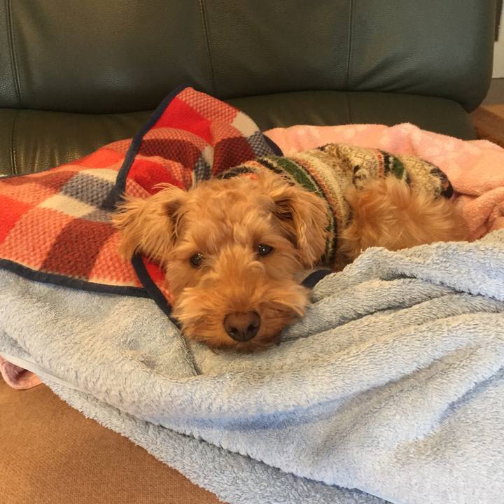 034050d6 6bf7 4af1 aef4 d71156260e68