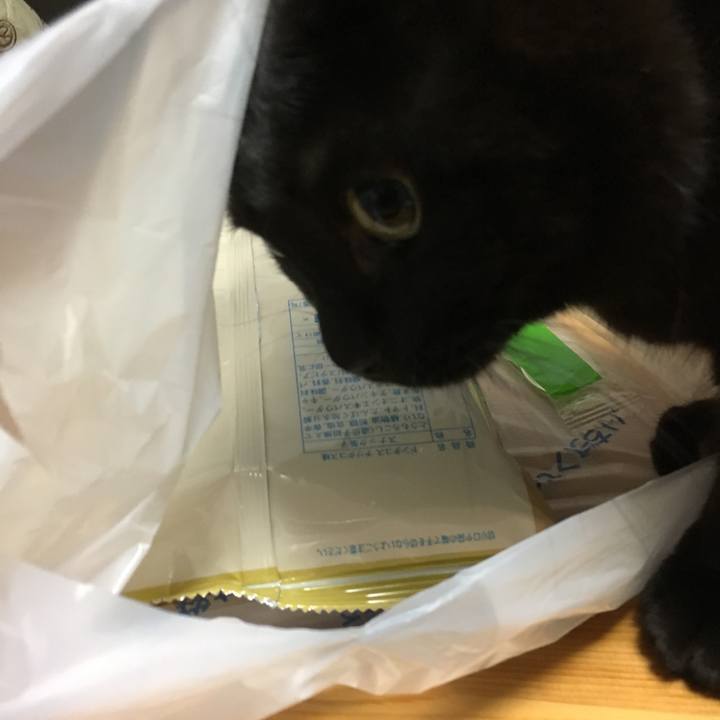 034056f5 eb0b 44b3 8ea6 a5299d1ef97f