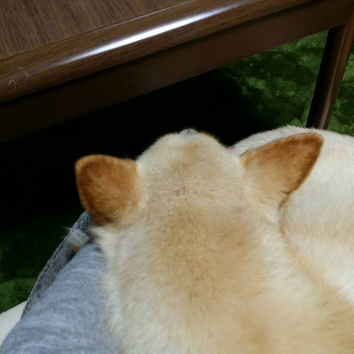 034072e8 cd45 42bb 8e86 0211750e0f95