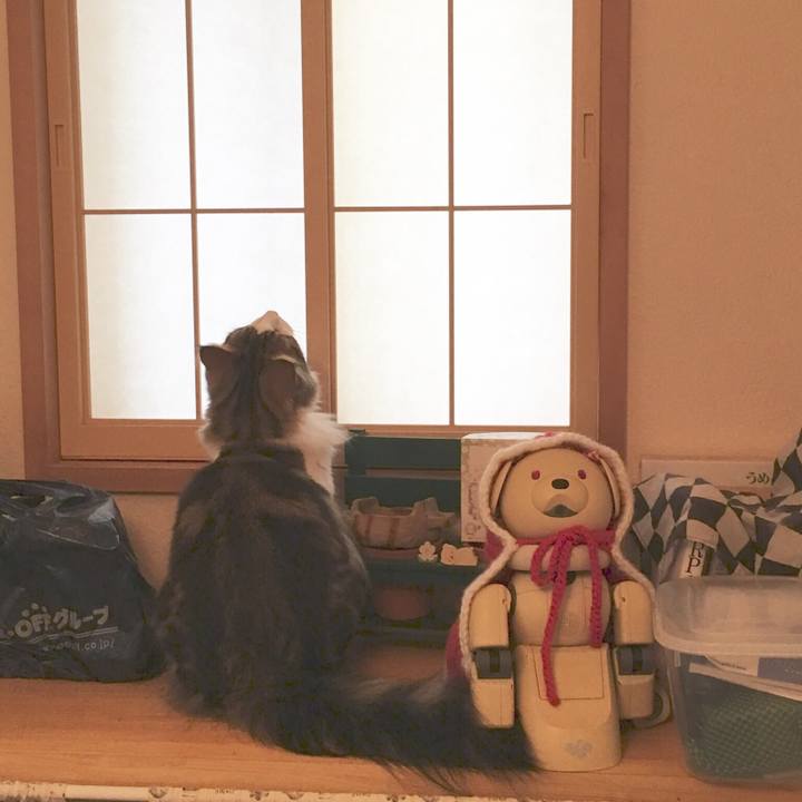 0340aa6e 4964 422b ada8 4049543c0bee