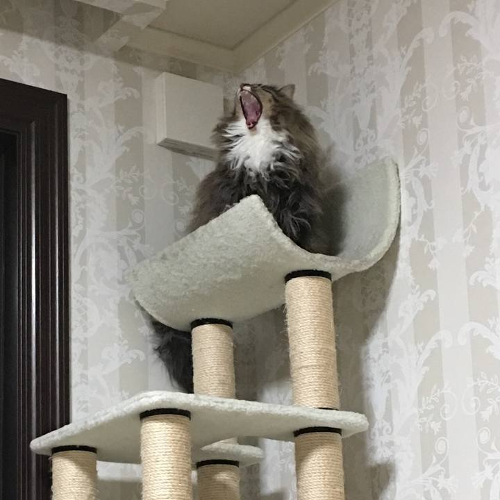 03414488 9227 493f 8fb3 4943a7209f51