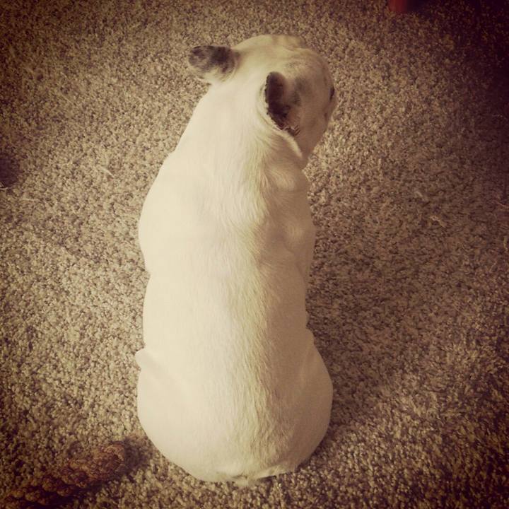 03414924 d37d 4151 b788 22f950148e18