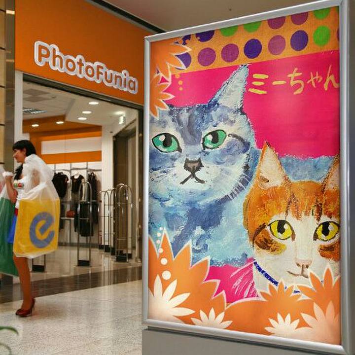 03415756 c739 4580 9d3f f456c6778bb1