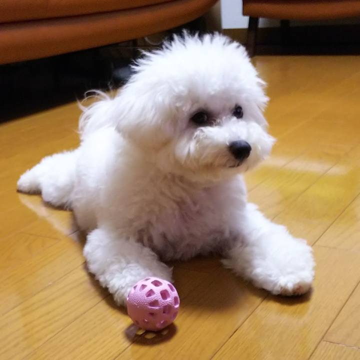 0341b182 6b8c 4c0a a4ee d619514ea7fa