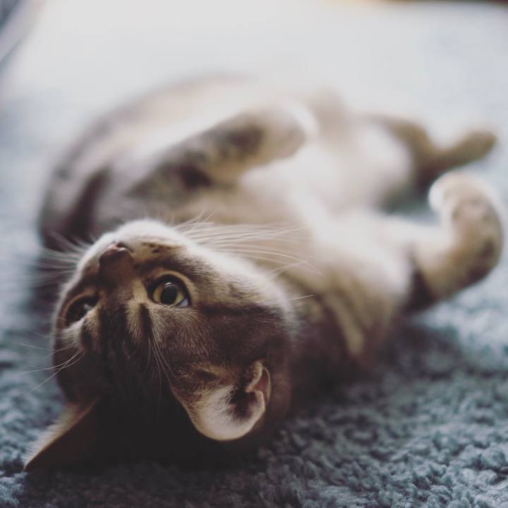 034395f8 1327 426b b262 03ea379a3e51