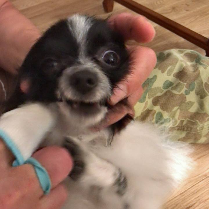 034459ed e40f 44ef a1e4 00f84a9da19d