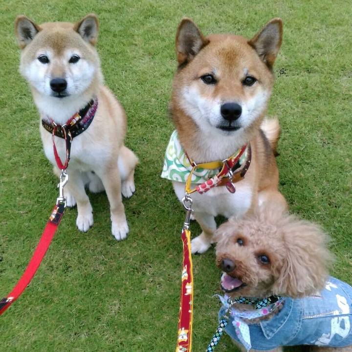 034469c0 8664 4b4d 9862 7acb96ba21a0