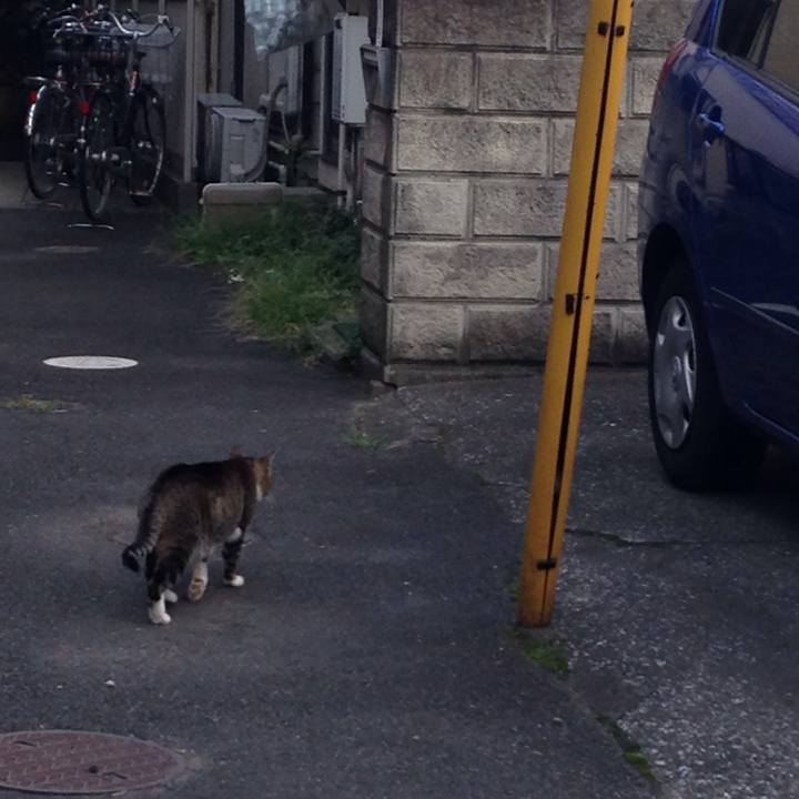 0344c244 adb8 4c91 9065 9a69371caabb