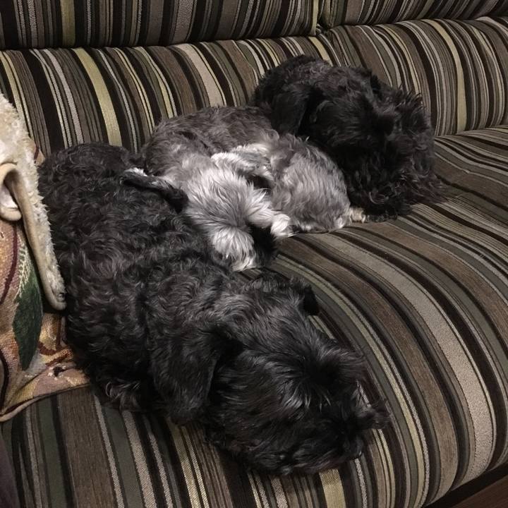 0344f55f 19e0 410b be93 d96c1a4658f4